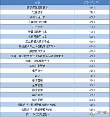 湖南省單招考試報考計算機、軟件類專業院校與重點推薦—聚焦技術開發與銷售